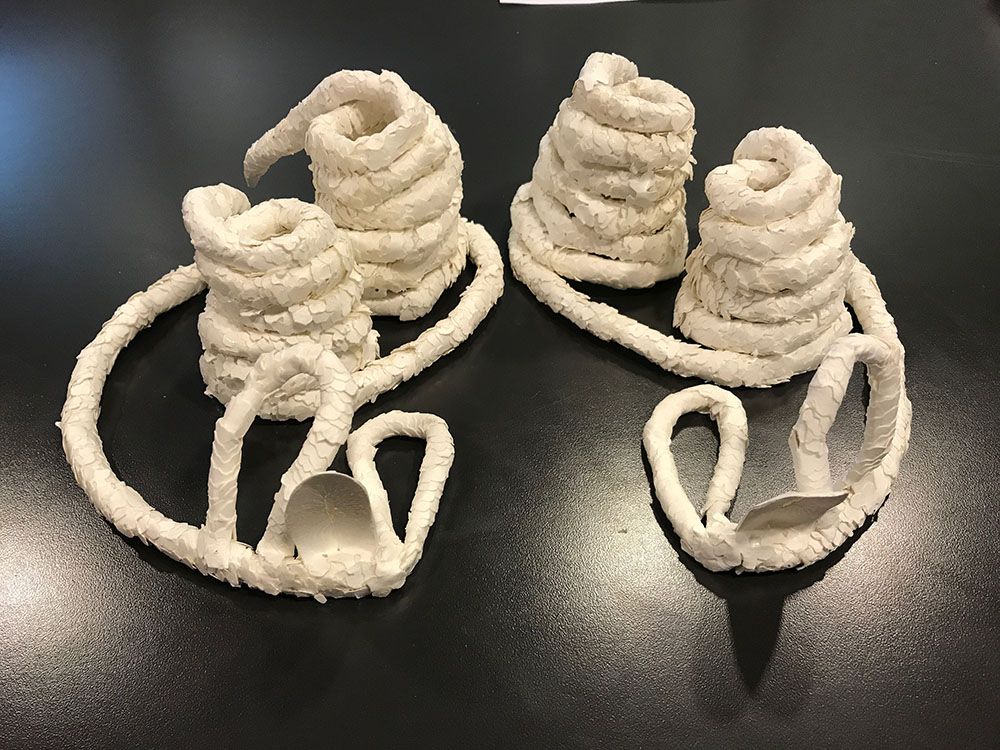 Naturalis - Hangmatschaduwspin vagina (voorzijde)