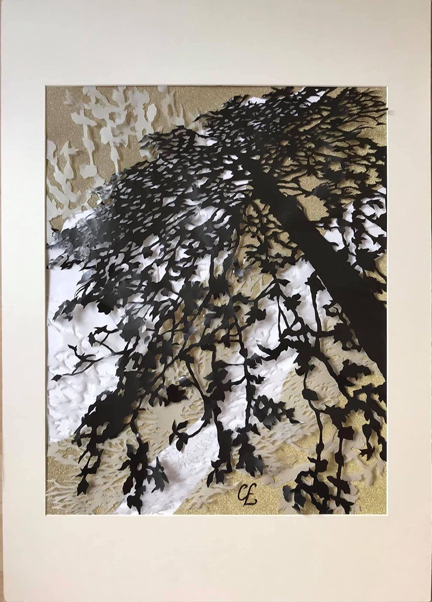 Shadows I