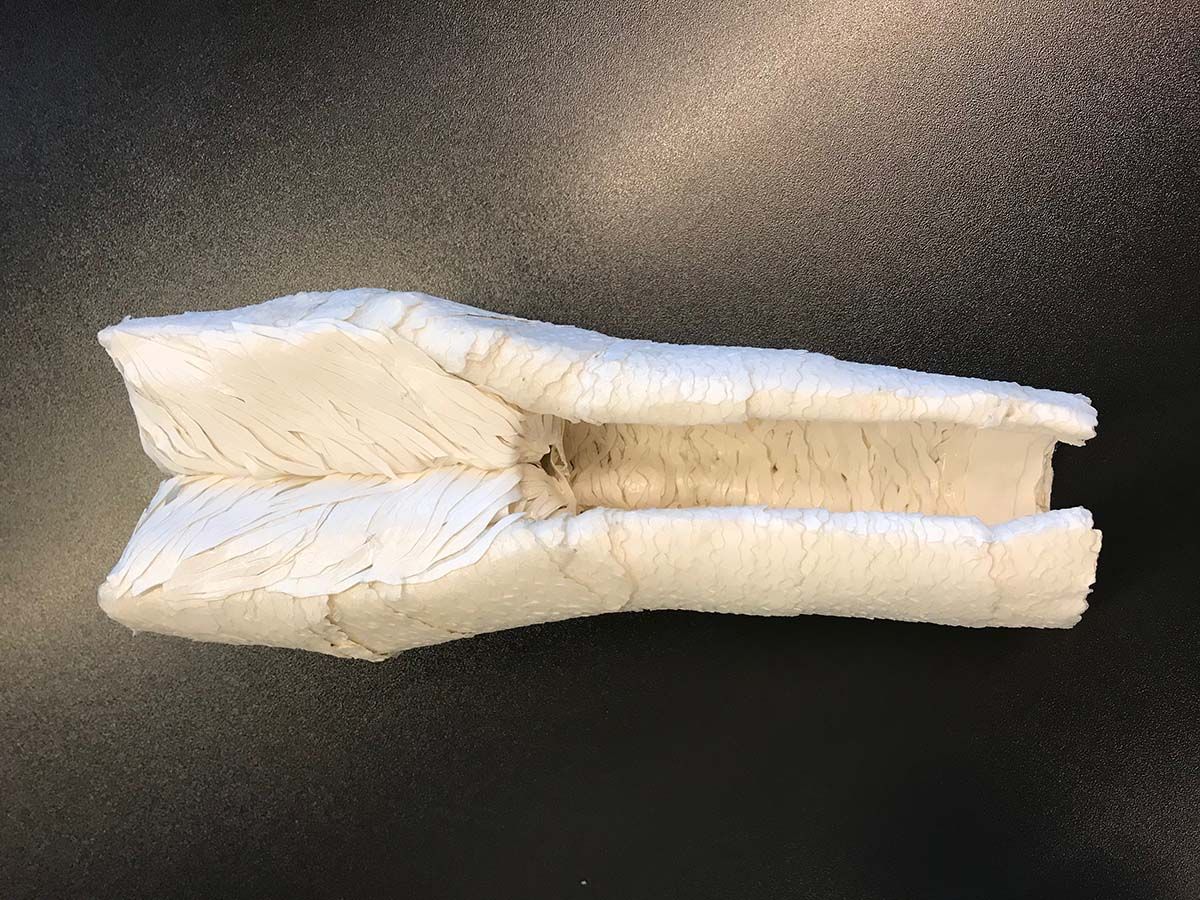 Naturalis - Vrouwenvagina 1