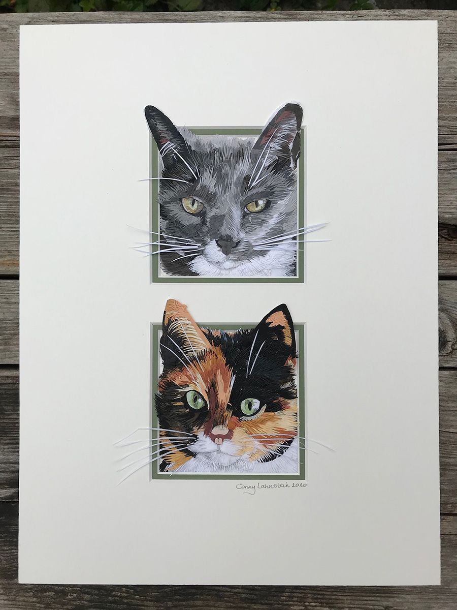 Kattenluik