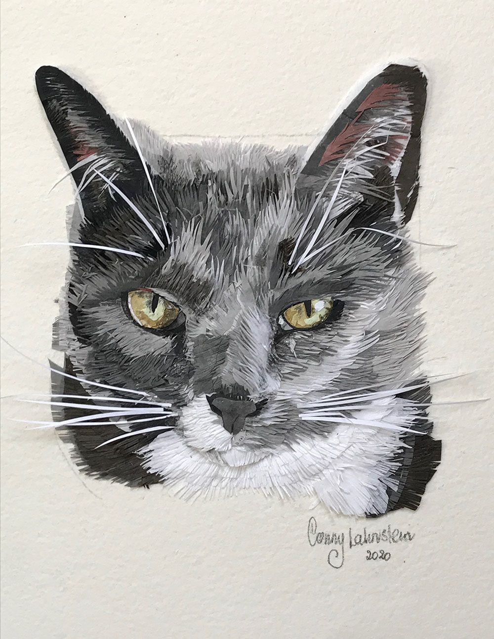 Grijze kat